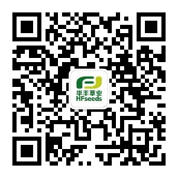 mansion88明升